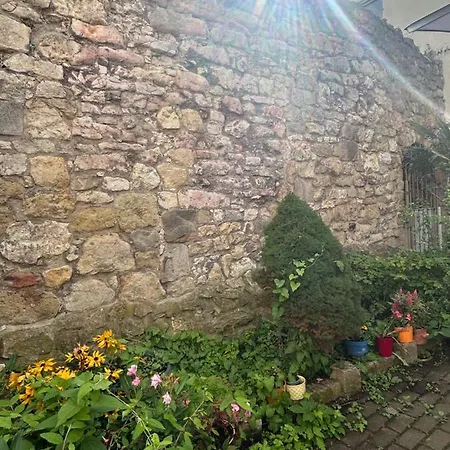 Garden Loft Haven